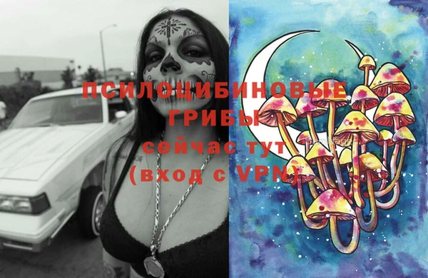 твердый Инсар