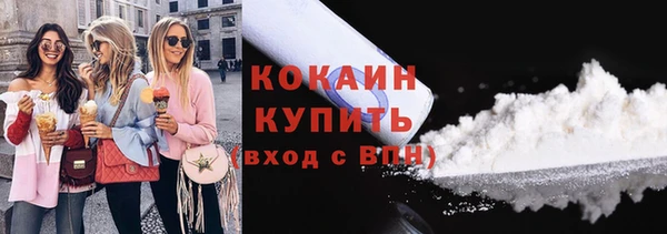 твердый Инсар
