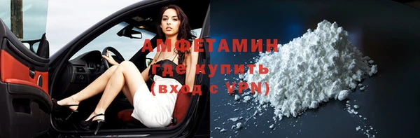 твердый Инсар