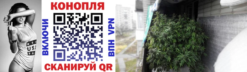 Купить где  Воскресенск  Бошки марихуана конопля 